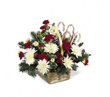 Candy Cane Lane Arrangement